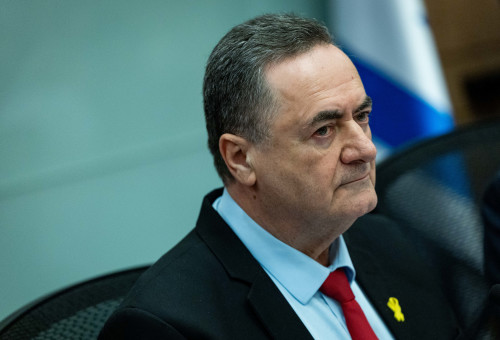  ישראל כ"ץ  (צילום: יונתן זינדל, פלאש 90)