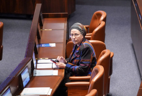 אורית סטרוק  (צילום: דני שם טוב, דוברות הכנסת)