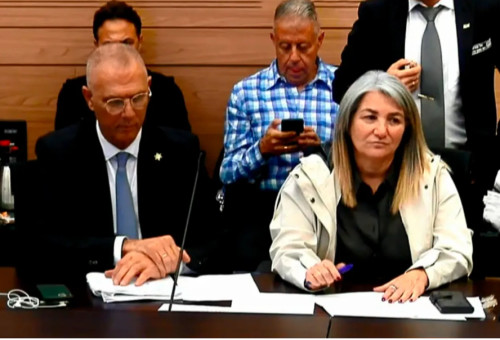 דרורית שטיינמץ ויוסי שלי (צילום: צילום מסך מערוץ הכנסת)