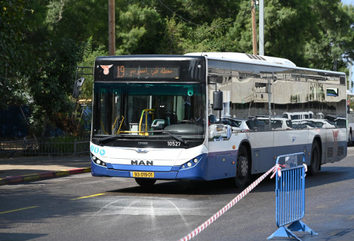 אוטובוסים בגוש דן (צילום: אבשלום ששוני)