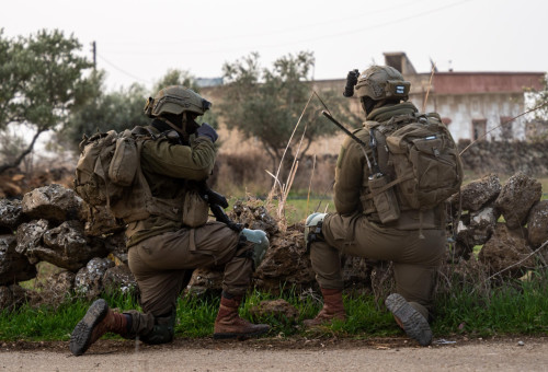 פעילות לוחמי צה"ל בדרום סוריה (צילום: דובר צה"ל)