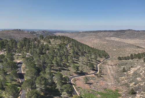דרך נוף יער גבעות (צילום: המועצה האזורית גוש עציון)