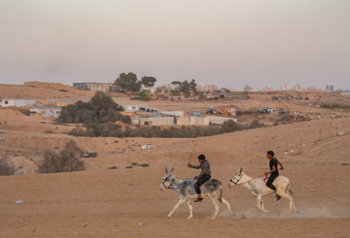 בדואים בנגב (צילום: יניב נדב, פלאש 90)