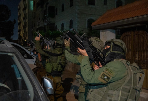פעילות צה"ל ביו"ש (צילום: דובר צה"ל)