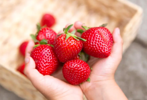 תותים: מועילים לבריאות הלב (צילום: iStock)
