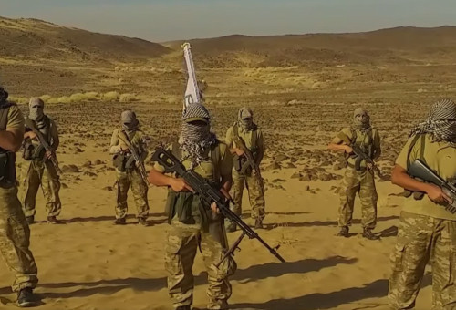 זרוע טרור של האחים המוסלמים במצרים (צילום: רשתות ערביות)