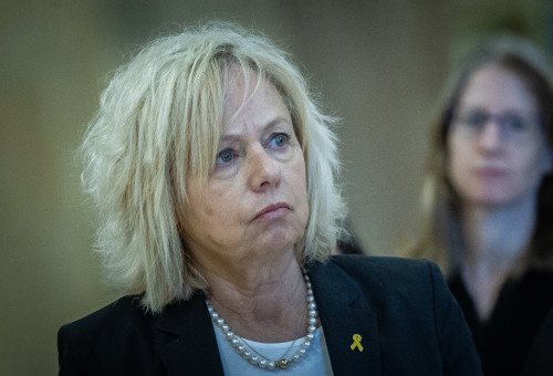 גלי בהרב מיארה (צילום: יונתן זינדל, פלאש 90)