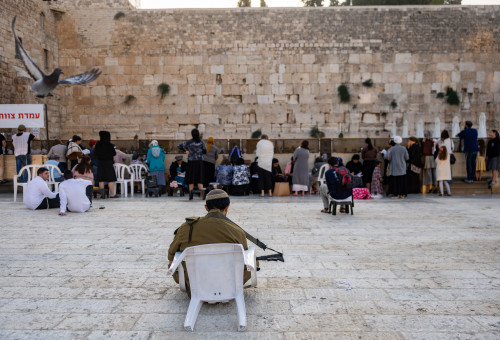 תשעה באב בכותל המערבי (צילום: חיים גולדברג, פלאש 90)