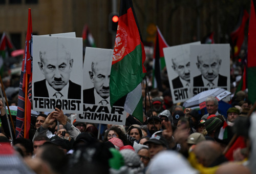 ארגון palestine action (צילום: רויטרס)