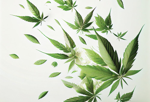 קנאביס (צילום: אינג אימאג)