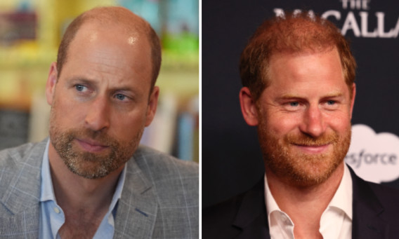 הנסיך הארי, הנסיך וויליאם (צילום: Jemal Countess/Getty Images for TIME, WPA Pool)