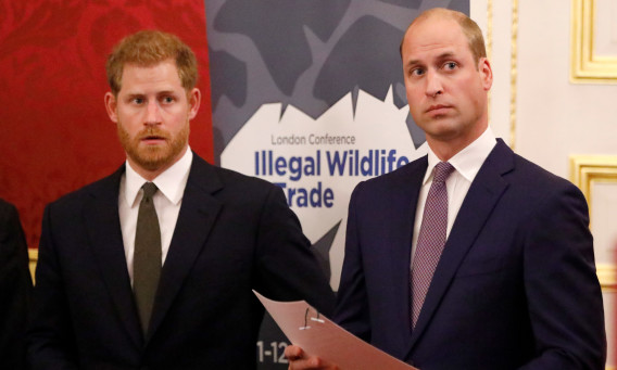 הנסיך וויליאם, הנסיך הארי