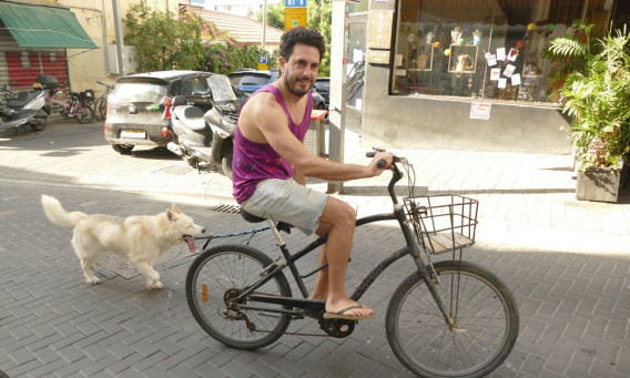 דני זיסקינד