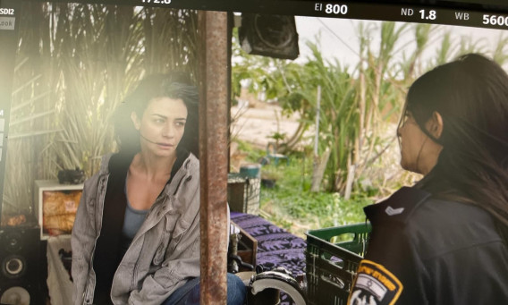 נינט, דאנה איבגי