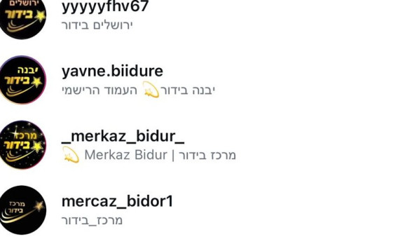 "עמודי הבידור" (צילום: צילום מסך אינסטגרם)