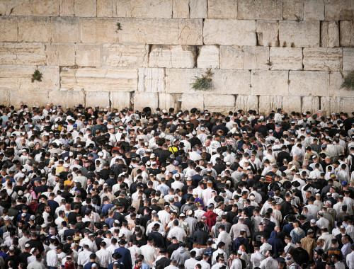 סליחות בכותל(צילום: אריה לייב אברמס, פלאש 90)