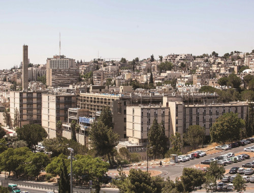 ×—× ×™×•×Ÿ ×§×¨×¡ ×'×'×™×ª ×—×•×œ×™× ×©×¢×¨×™ ×¦×