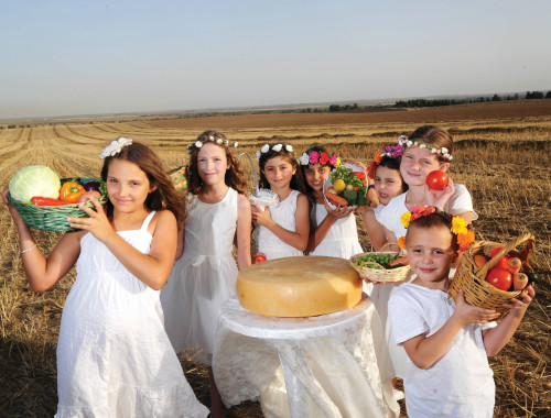 ×©×××¢××ª 2020 ××××¨ ××©××¤×× × ××§×¨××ª ××× ××¢×¨××