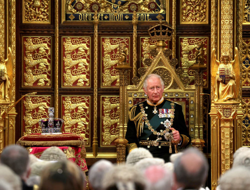 הנסיך צ'ארלס בטקס פתיחת מושב הפרלמנט(צילום: Dan Kitwood/Pool via REUTERS)
