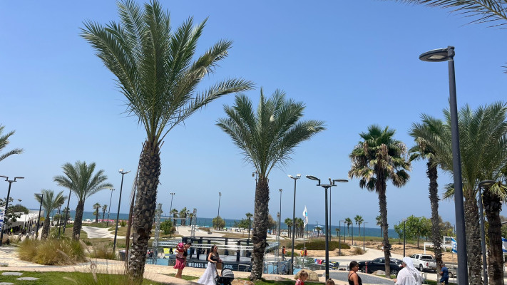 תחליף הולם. חוף דלילה