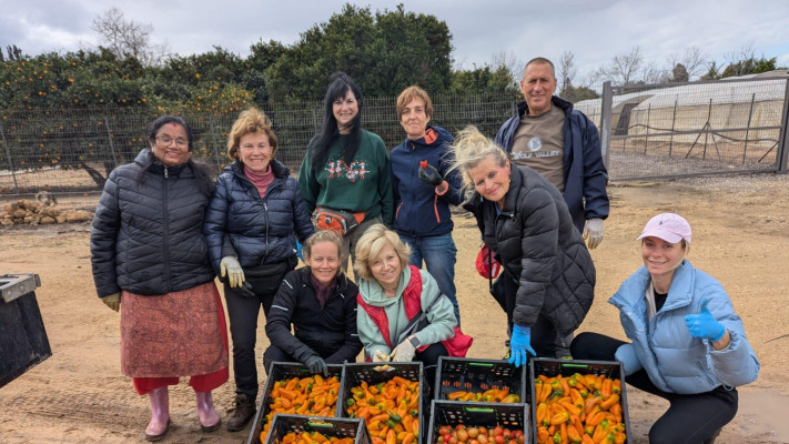התגייסו לעזור