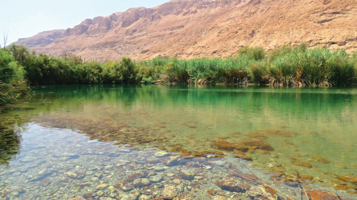 שמורת טבע עיינות צוקים - עין פשחה