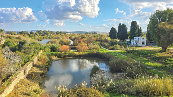 שמורת עין אפק