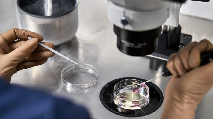 מעבדת פוריות. ההקפאה הראשונית לחמש שנים (צילום: שאטרסטוק)