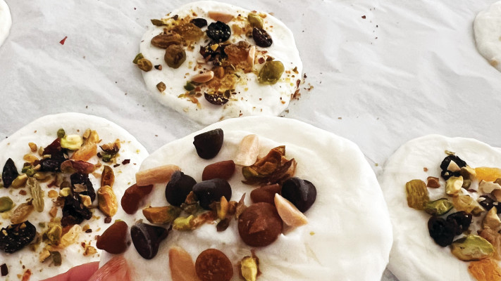 דסקיות יוגורט