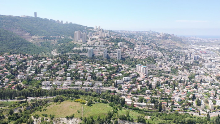 נשארה מאחור. נשר