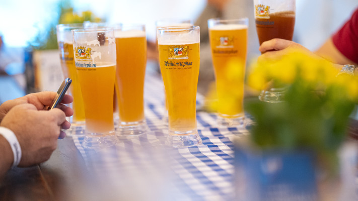 למה בירה מושכת יתושים?