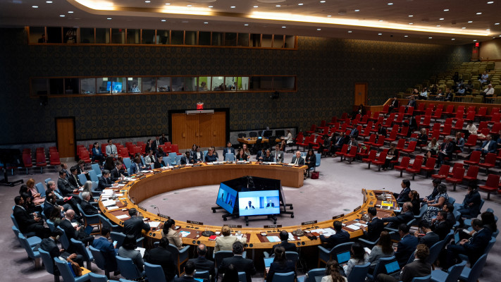 Conseil de sécurité des Nations Unies