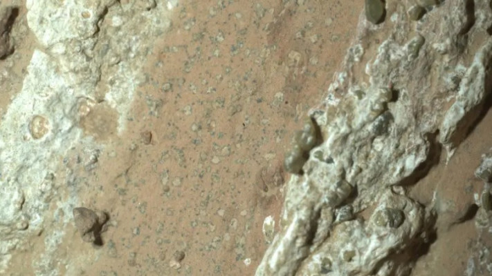 הסלע שנדגם. ממצאים ראשונים לפעילות ביולוגית