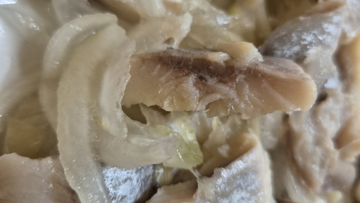 הרינג כבוש לבן