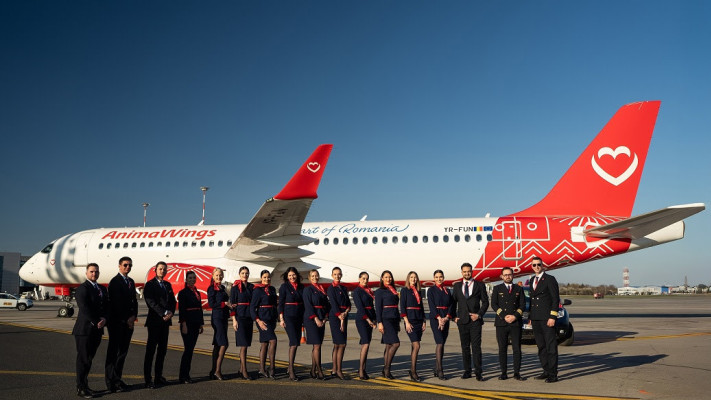 אנימווינגס