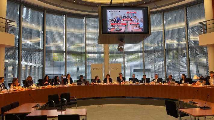 הלל נויר בפרלמנט הגרמני