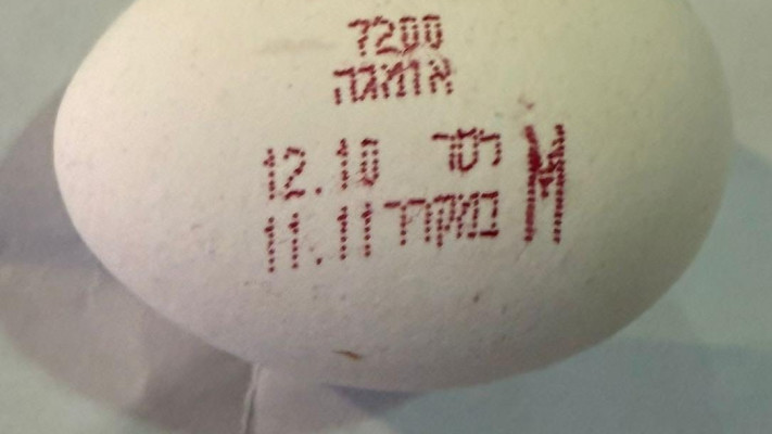 ריקול ביצים