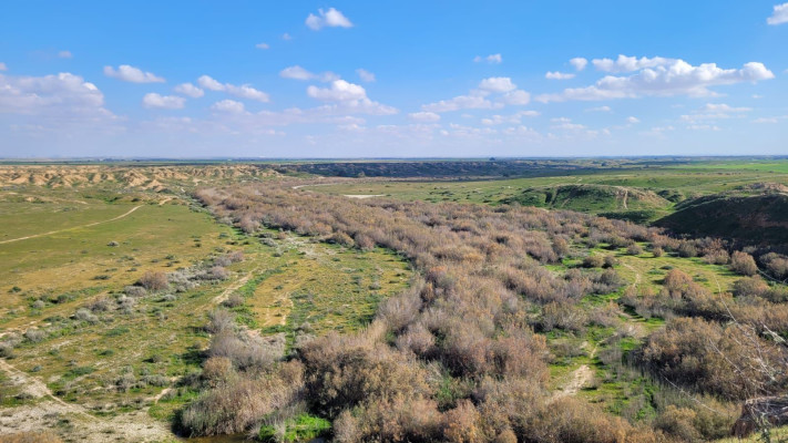 נוף רחב ופתוח