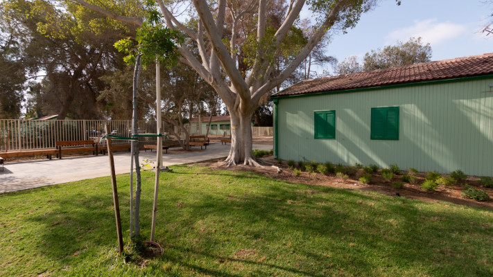 צריף בן גוריון בשדה בוקר