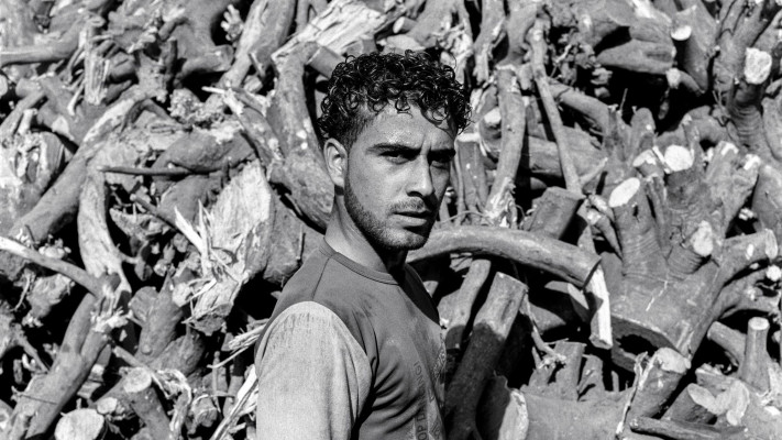 שנה טובה גנין - תערוכה ראאד בואייה