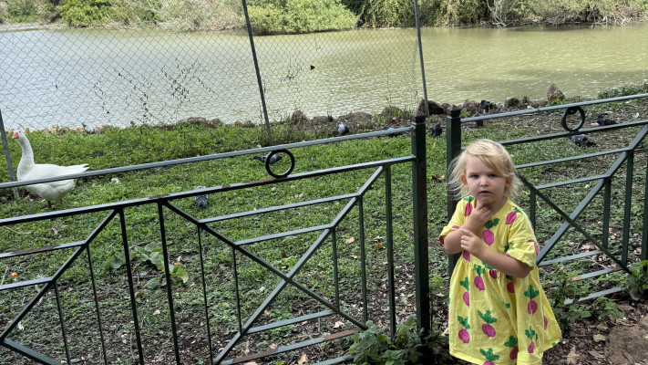 הרבה מרחבים ירוקים, רומא