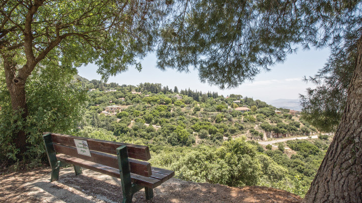 תצפית באמירים