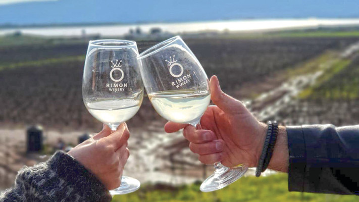 יקב רימונים