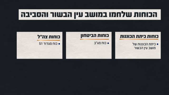 הכוחות שלחמו בקרב עין הבשור והסביבה