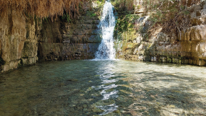 נחל דוד שמורת עין גדי