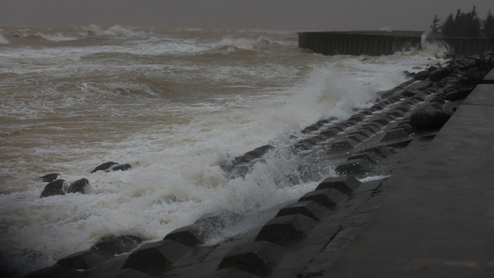 טייפון קלמגי