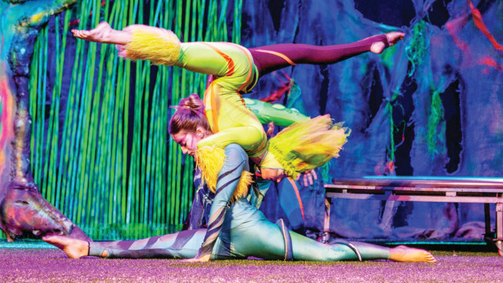 קרקס בראבו &ndash; הרפתקאות היער האבוד