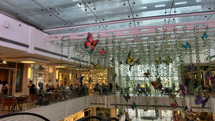 קניון G צמרת