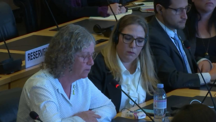 אביבה סיגל בוועדת האו''ם 