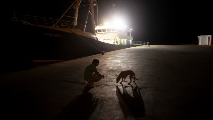 תערוכה של עידו רוזנטל ז''ל